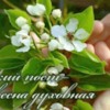 Поговорим о посте?